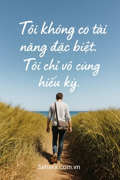 Tôi không có tài năng đặc biệt. Tôi chỉ vô cùng hiếu kỳ.